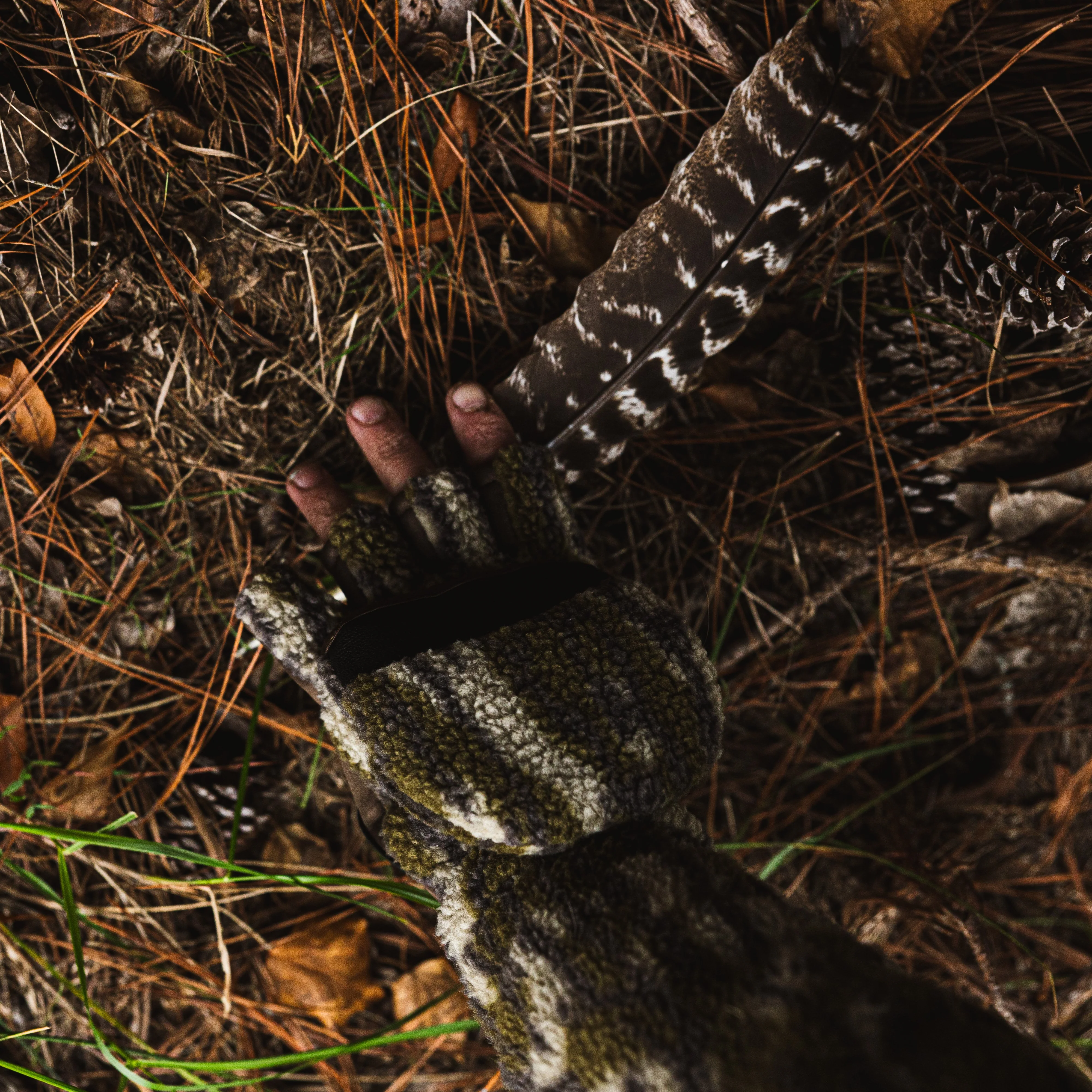 Thumb 5